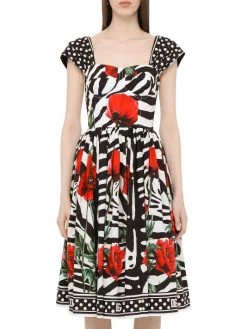 DOLCE&GABBANA Poppy & Zebra-Print Fit-&-Flare Dress -Deals DOLCE&GABBANA Store unnamed file 790